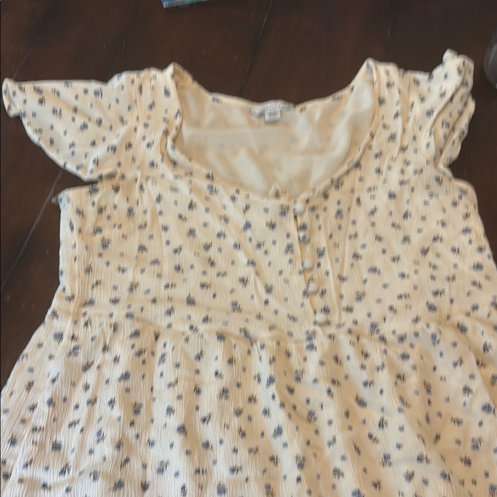American Eagle Outfitters Cream and Blue Pleated Sundress